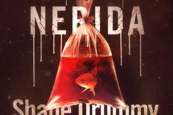 Never-Nerida-Audiobook